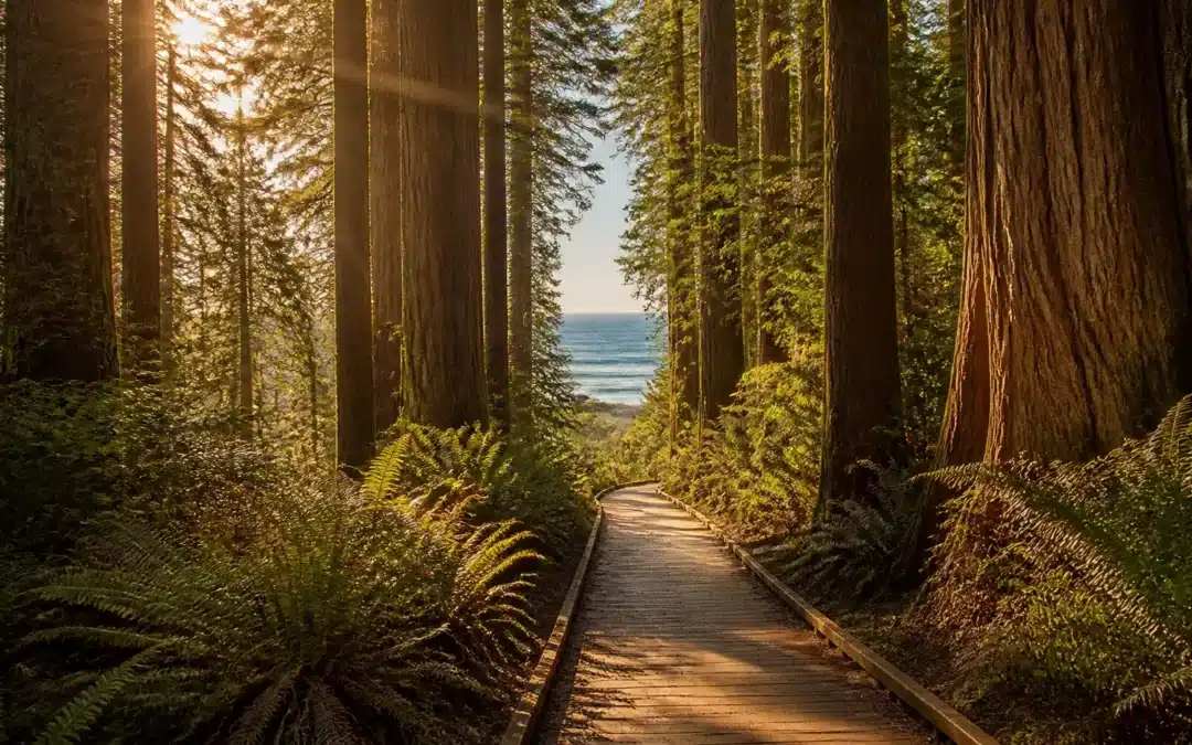 Why Everyone Is Talking About the Santa Cruz Lifestyle (And Why You Should Just Live Here)